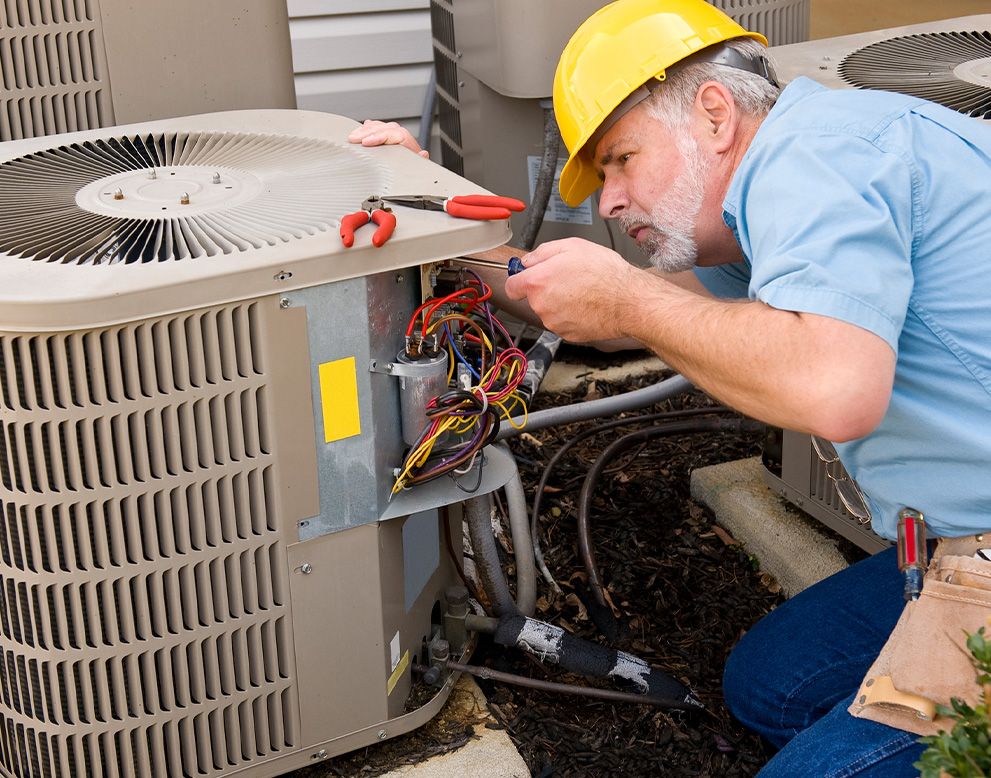 Describe your image here