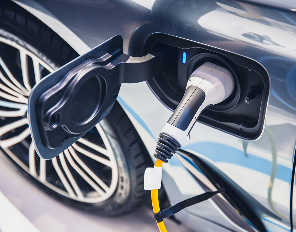 Describe your image here