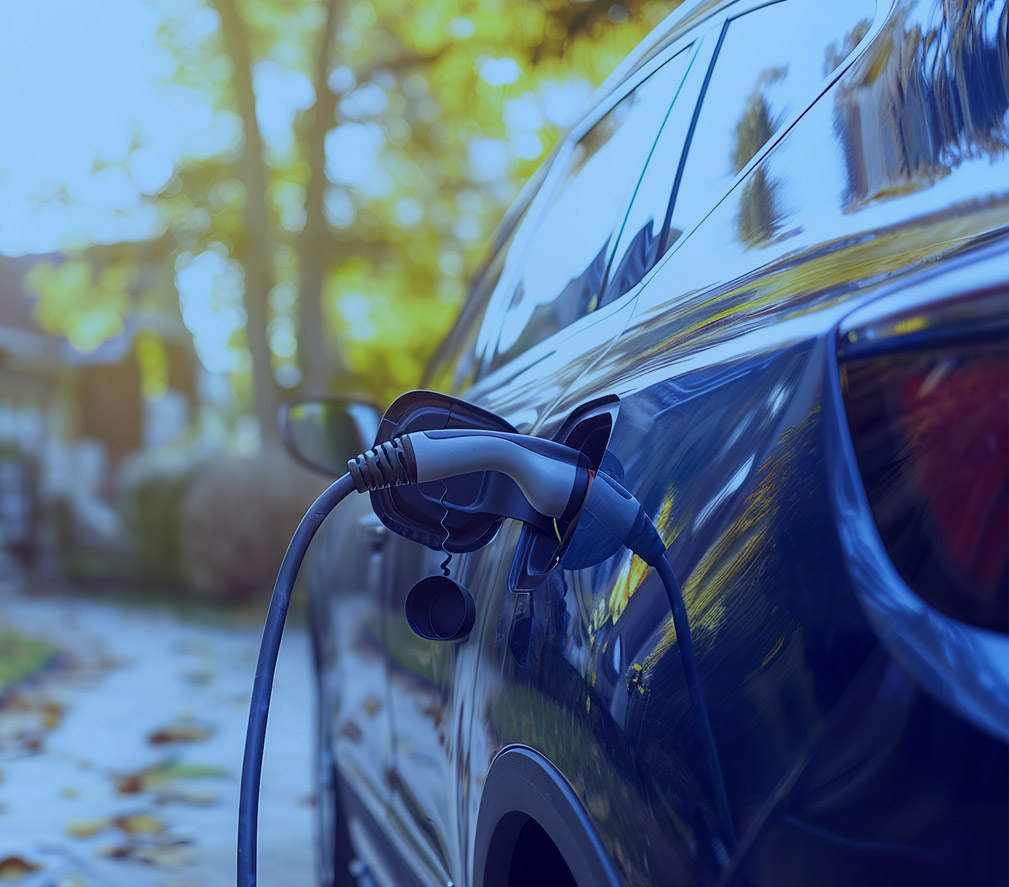 Describe your image here