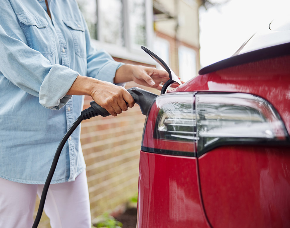 Describe your image here