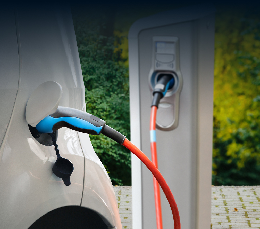 Describe your image here