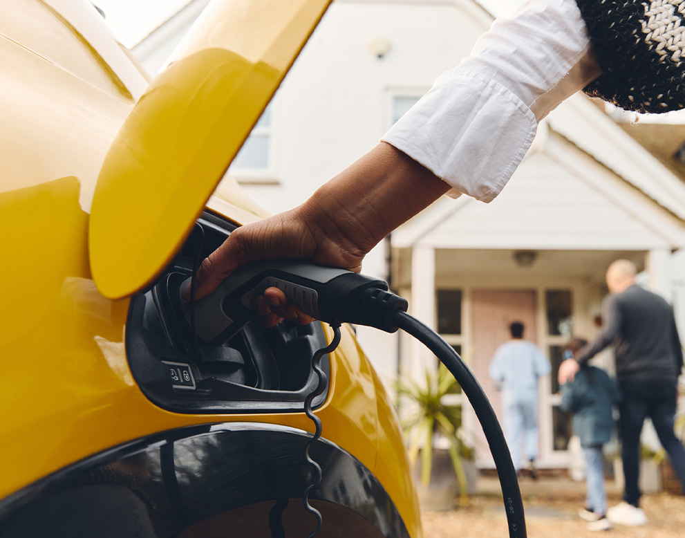 Describe your image here