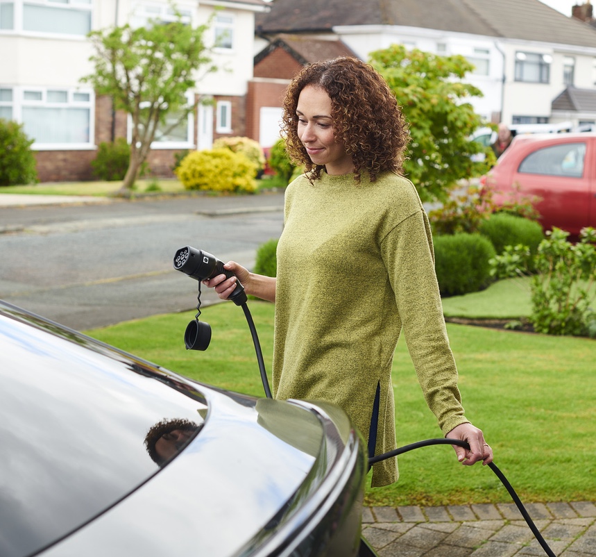 Describe your image here