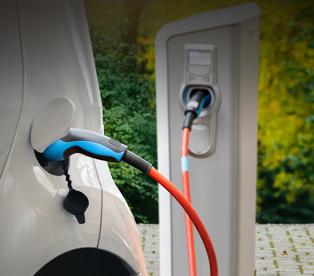 Describe your image here