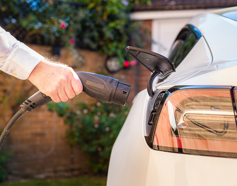 Describe your image here