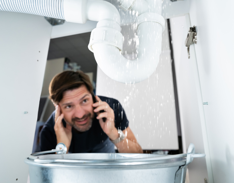 Describe your image here