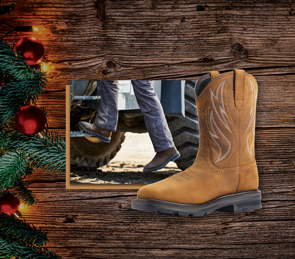 Describe your image here