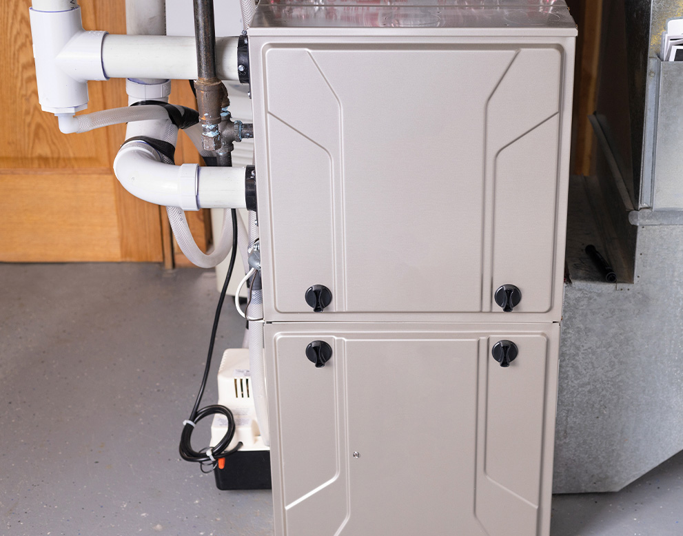 Describe your image here