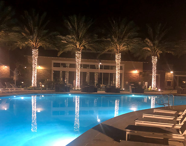 Describe your image here