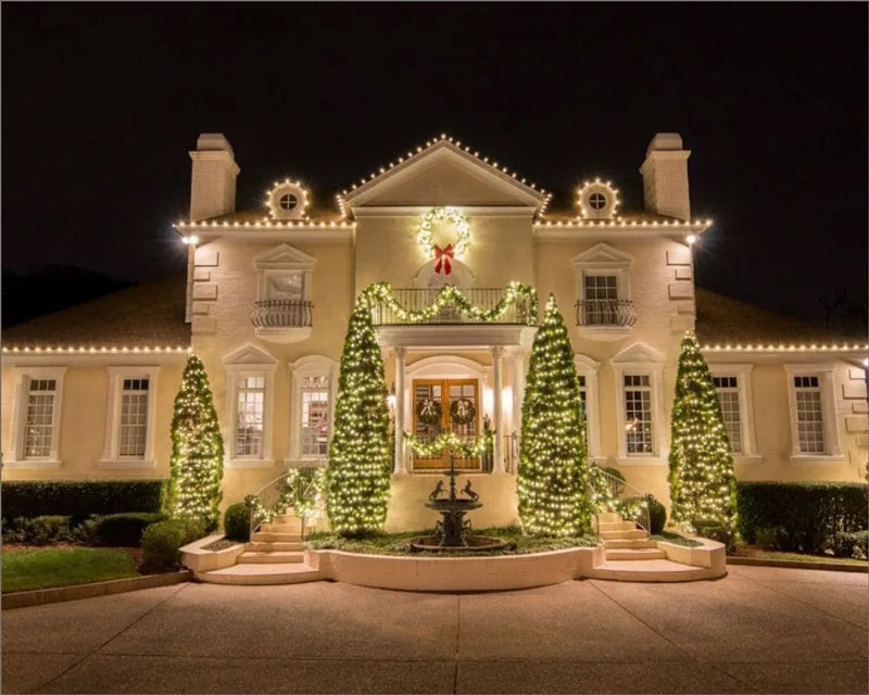 Describe your image here