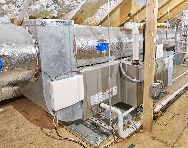 Describe your image here