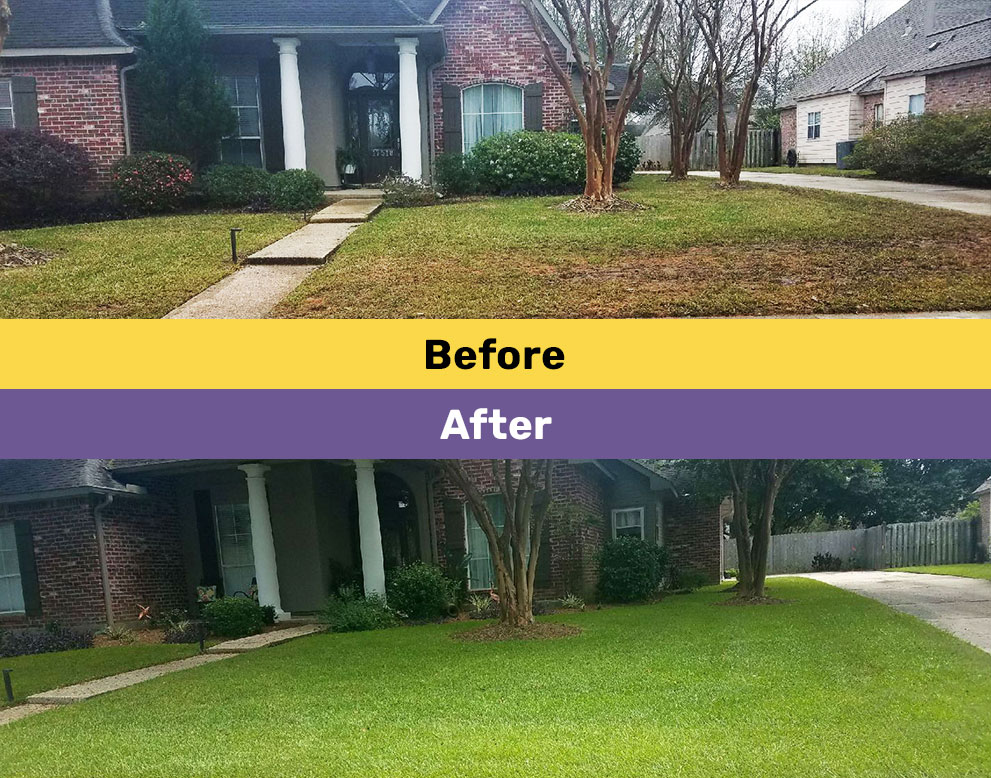 Describe your image here