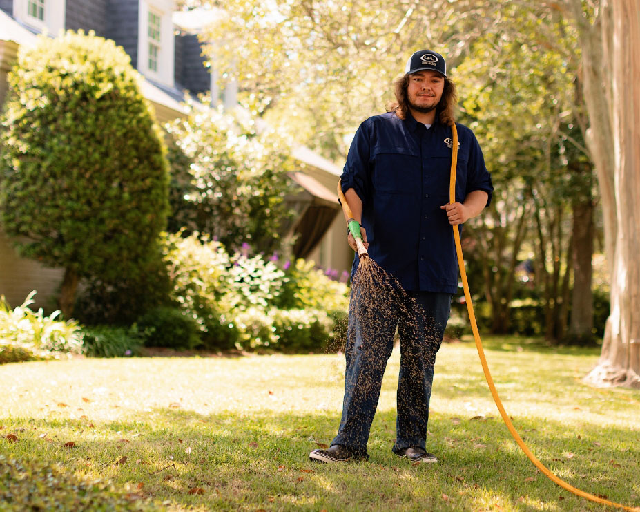 Describe your image here