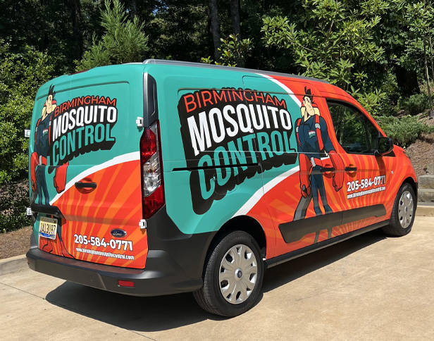 Describe your image here