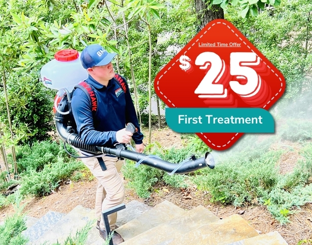 Describe your image here