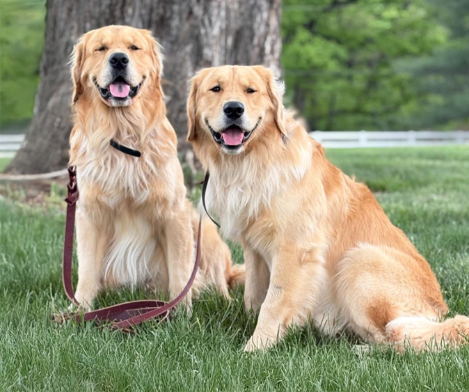 Describe your image here