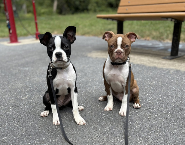 Describe your image here