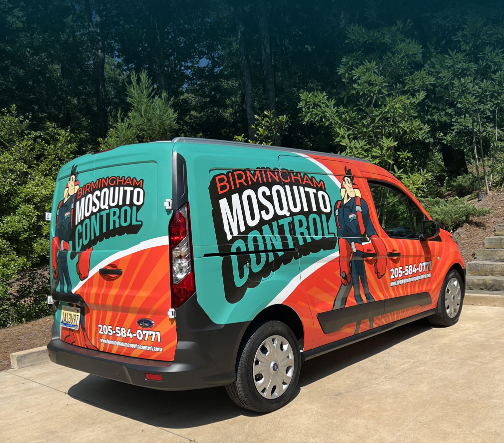 Describe your image here