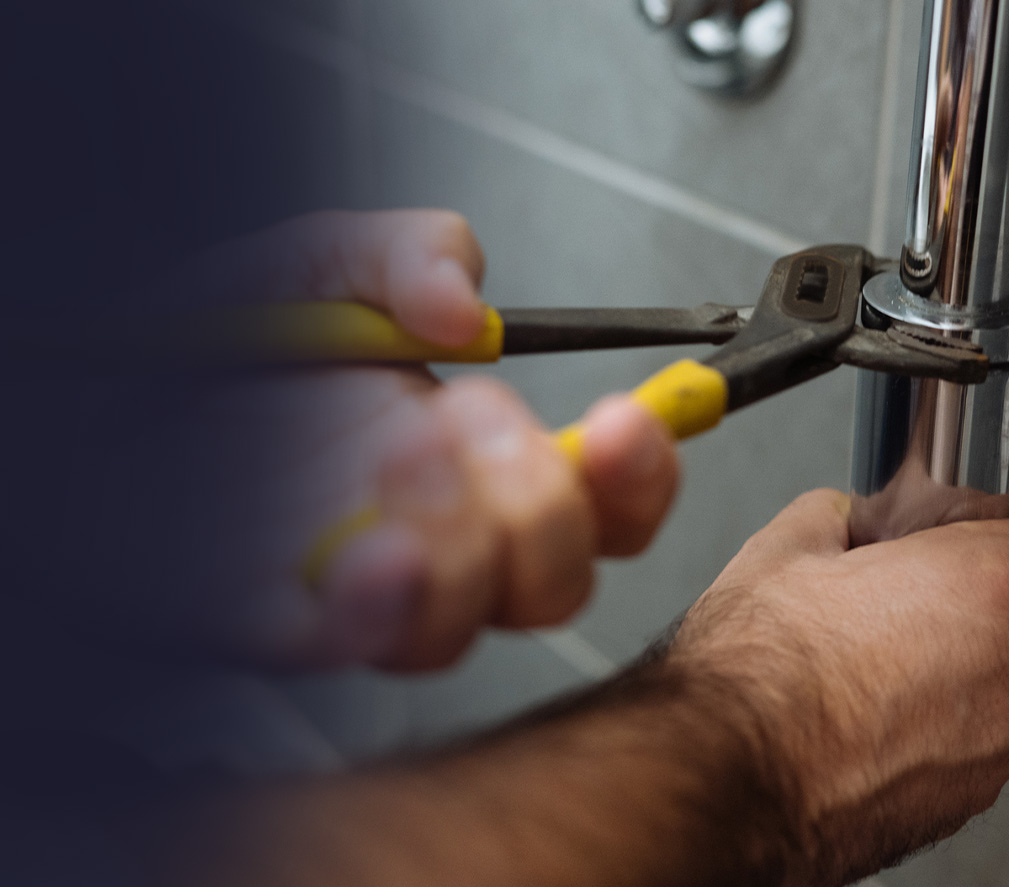 Describe your image here