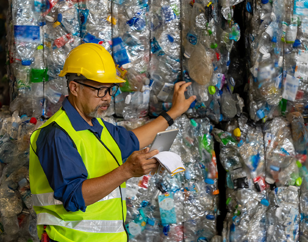 Describe your image here