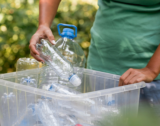 Describe your image here