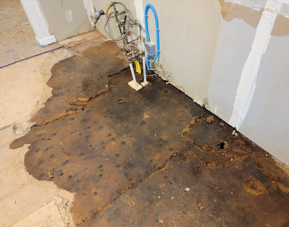 Describe your image here