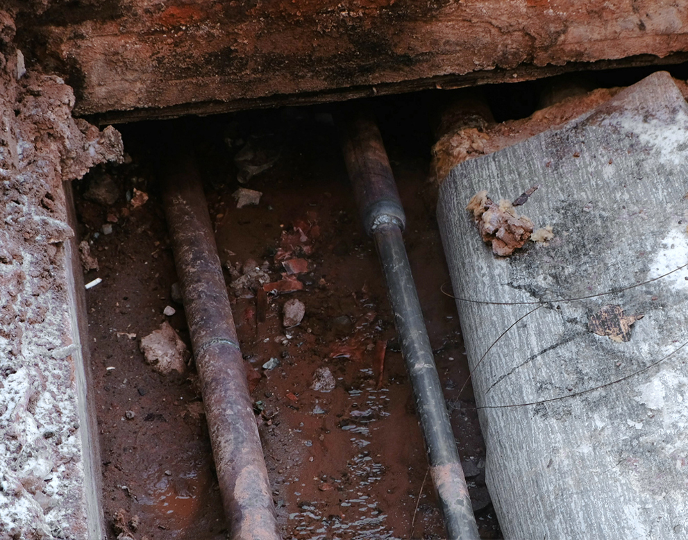 Describe your image here