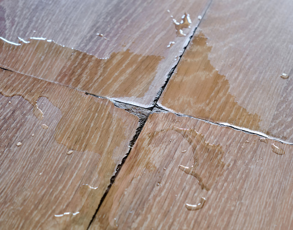 Describe your image here