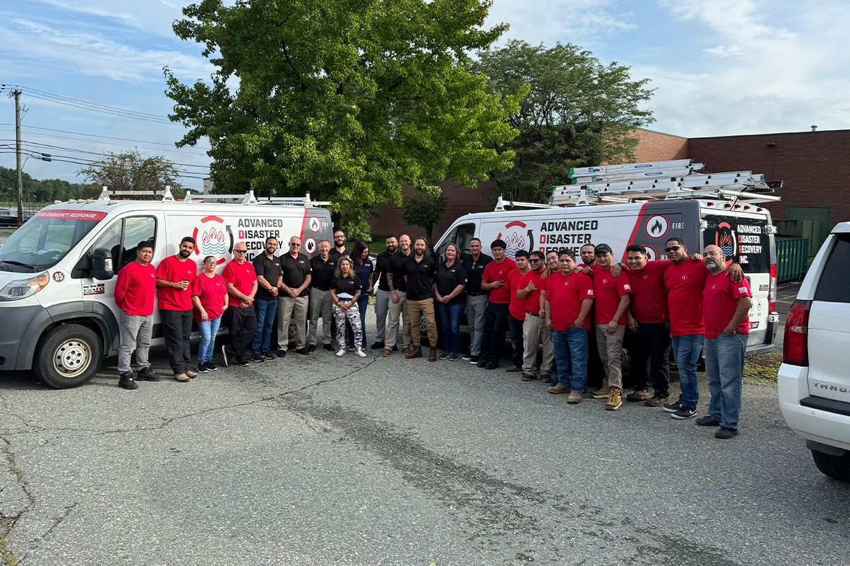 Describe your image here