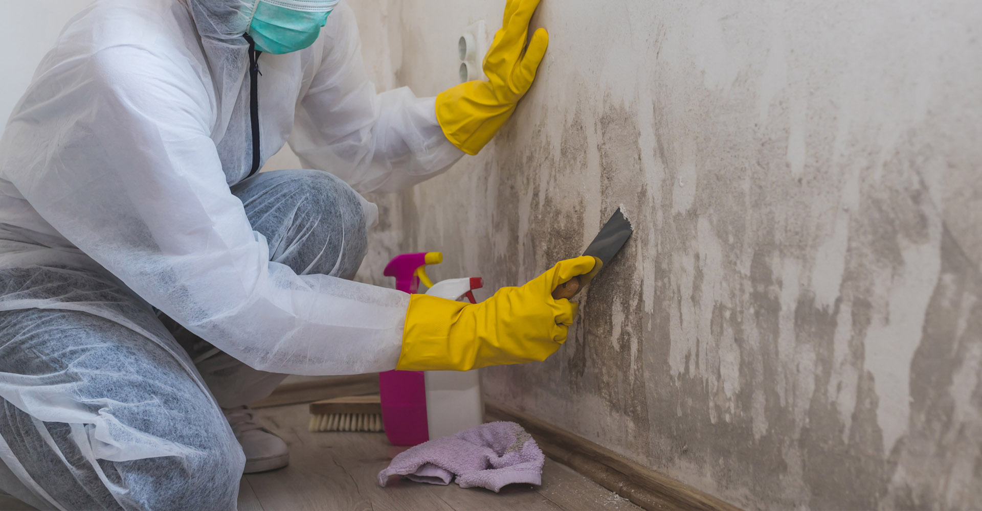 Describe your image here