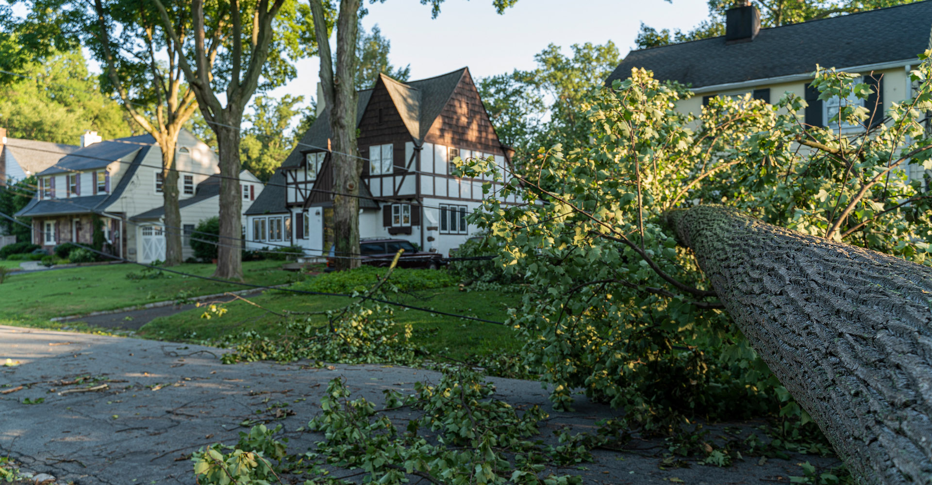 Describe your image here