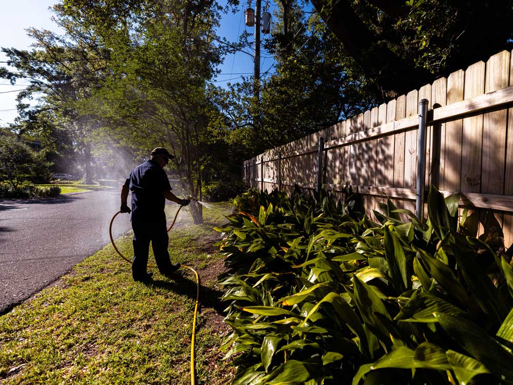 Describe your image here