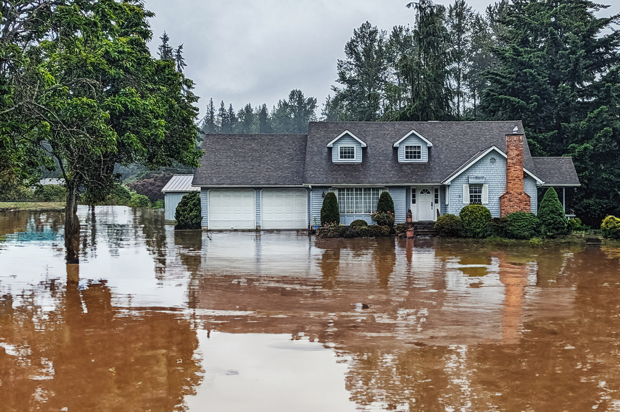 Describe your image here