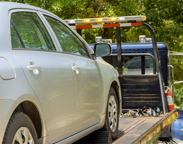 Describe your image here