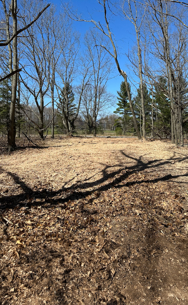 Describe your image here